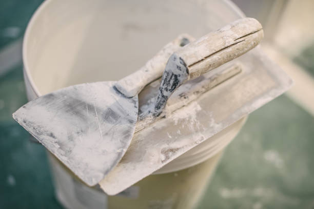 Best Airborne Mold Testing  in Houston, TX